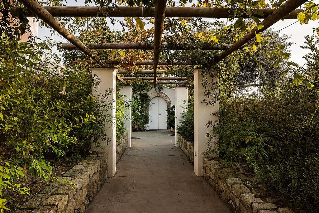 Tenuta Del Poggio Antico Forio di Ischia Buitenkant foto