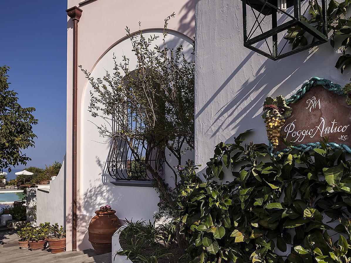 Tenuta Del Poggio Antico Forio di Ischia Buitenkant foto