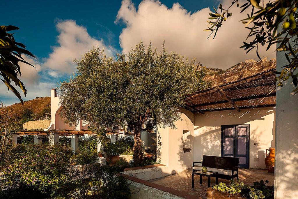 Tenuta Del Poggio Antico Forio di Ischia Kamer foto